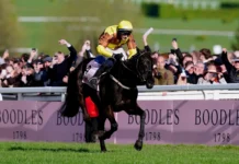 Cheltenham Festival Day 4 Gold Cup Free Bets & Tips 2026 Cheltenham