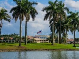 Golf Betting Tips: Cadillac Championship predictions, preview and best bets Cadillac Championship