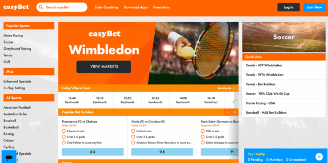 BettingTips4You.com | Free Football Betting Tips & Predictions easyBet UK exchange homepage interface