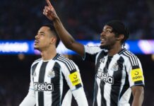 Newcastle United vs West Ham United Match Stats, Team News & Essential Data Guide Newcastle