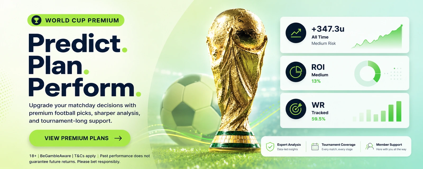 16. World Cup Premium Image - World Cup Betting Insights