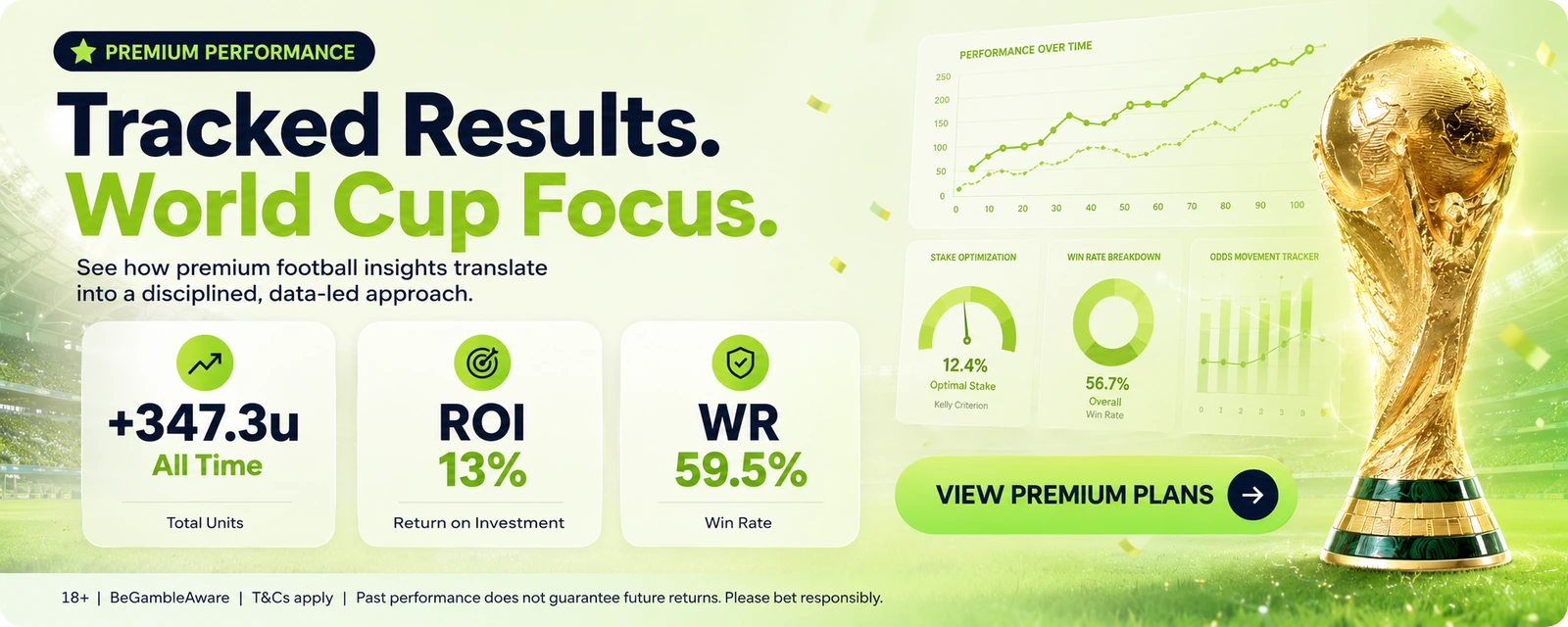 17. World Cup Premium Image - Premium Football Insights