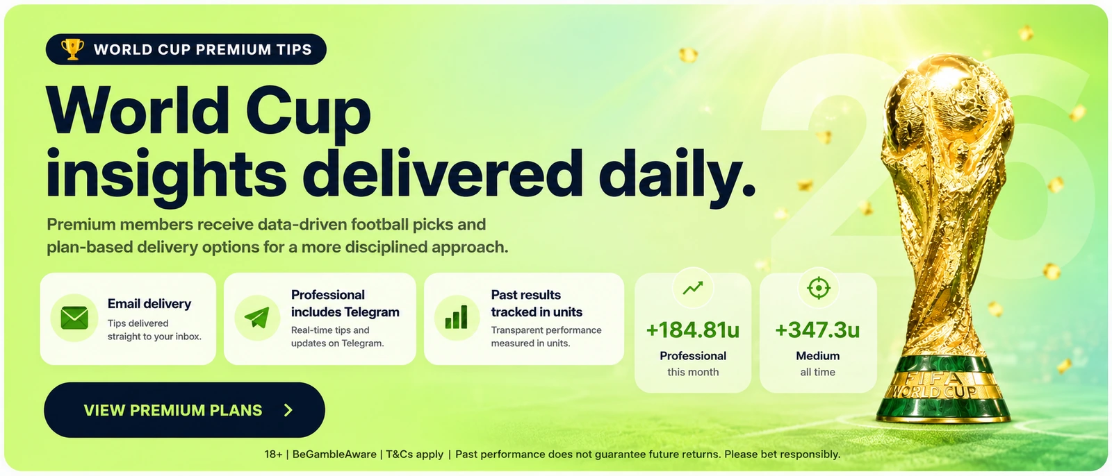 27. World Cup Premium Image - World Cup Premium Tips Banner