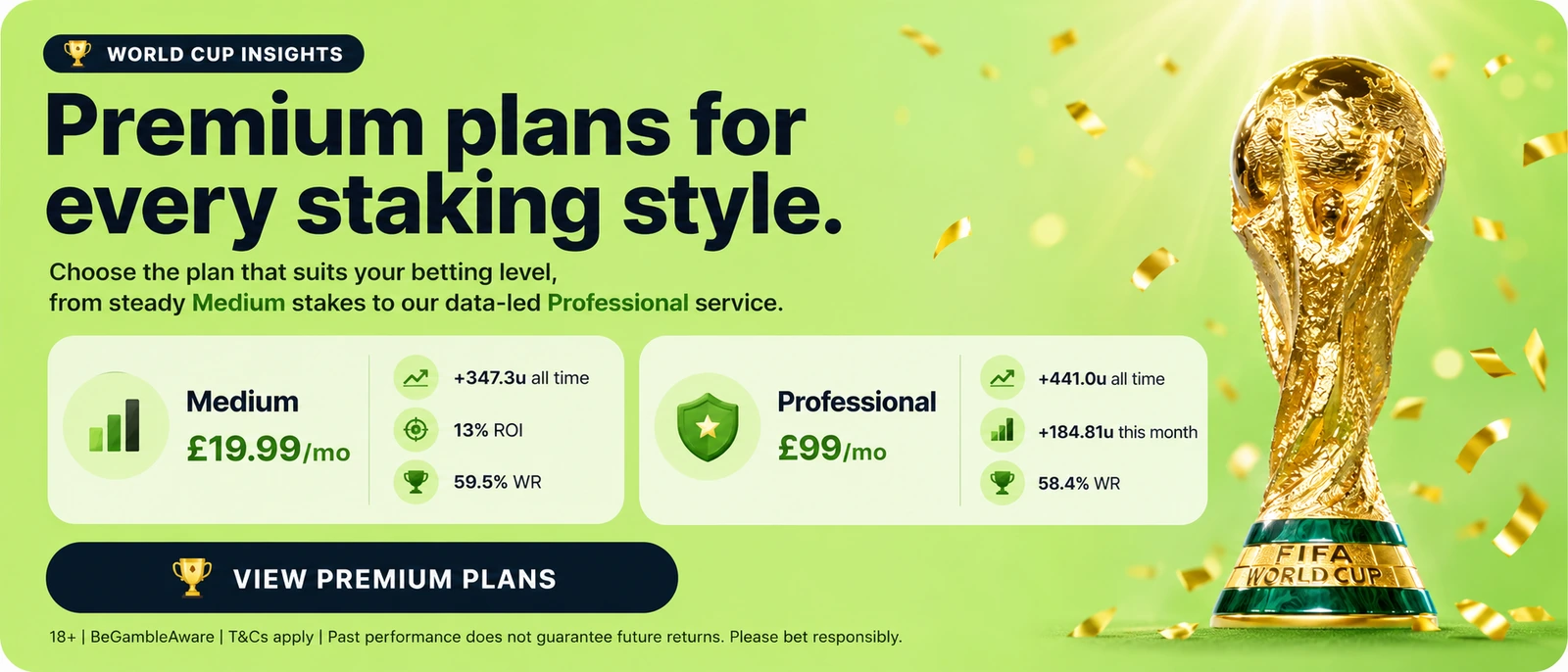 28. World Cup Premium Image - Premium Plans Success