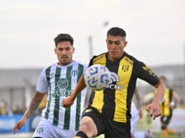 BettingTips4You.com | Free Football Betting Tips & Predictions