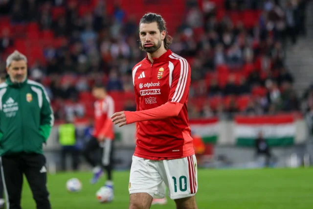 BettingTips4You.com | Free Football Betting Tips & Predictions Hungary