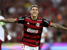 Flamengo (Pedro)