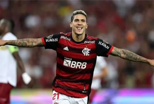 Flamengo (Pedro)