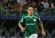 Palmeiras