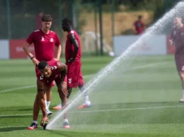 Wrexham vs Sunderland Live Stream Sunderland