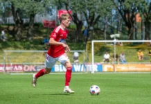 Silkeborg (Villads Westh)