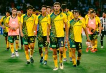 Aldosivi