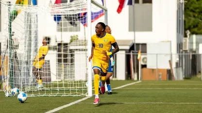 Grenadines