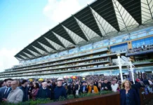 Bay City Roller Champion Stakes Tips & Prediction – British Champions Day 2026 British Champions Day